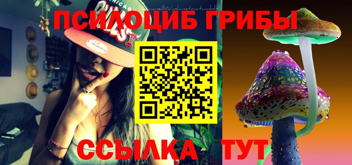 Псилоцибиновые грибы Psilocybe Махачкала