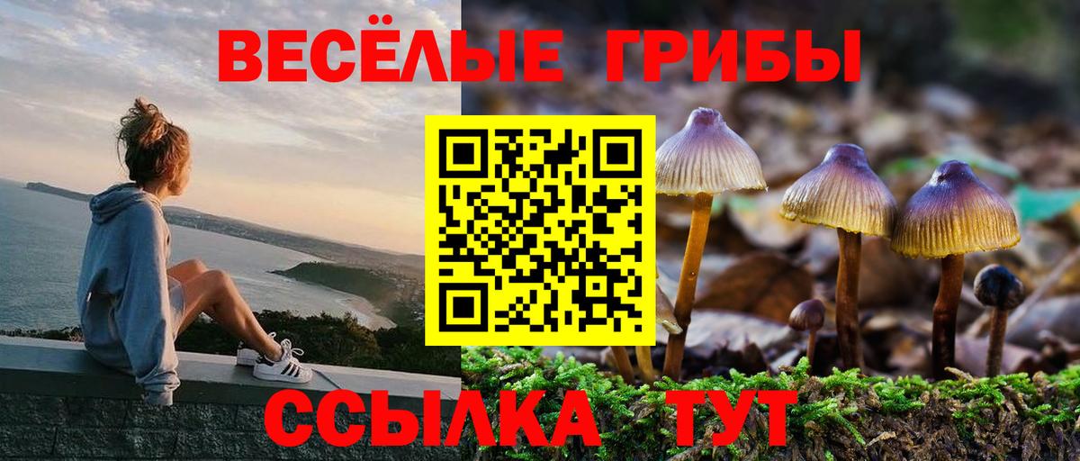 даркнет сайт  Вход с VPN  Галлюциногенные грибы Psilocybine cubensis  Махачкала  Псилоцибиновые грибы ЛСД 