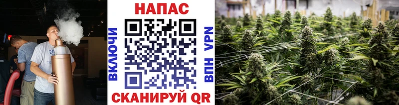 hydra как войти  купить закладку  Махачкала  Конопля THC 21% 